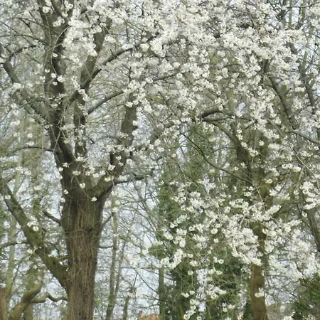 Holiday-home * Ferfay