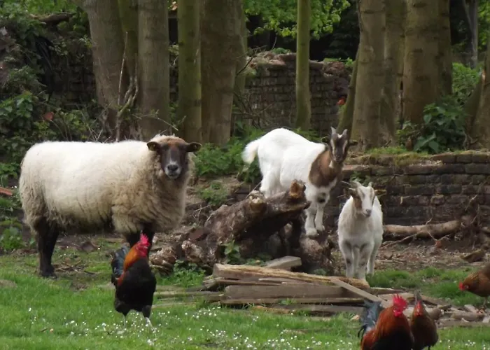 Semesterbostad Holiday-home